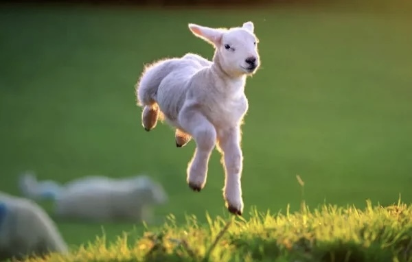 Is spring in the air or just around the corner?