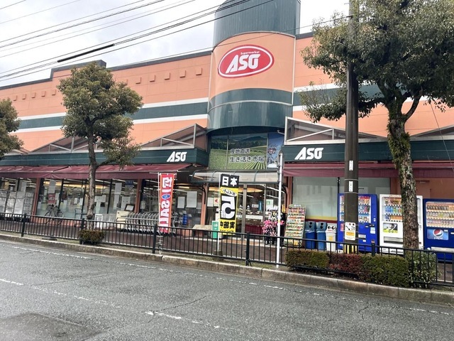 How often do you go grocery shopping?