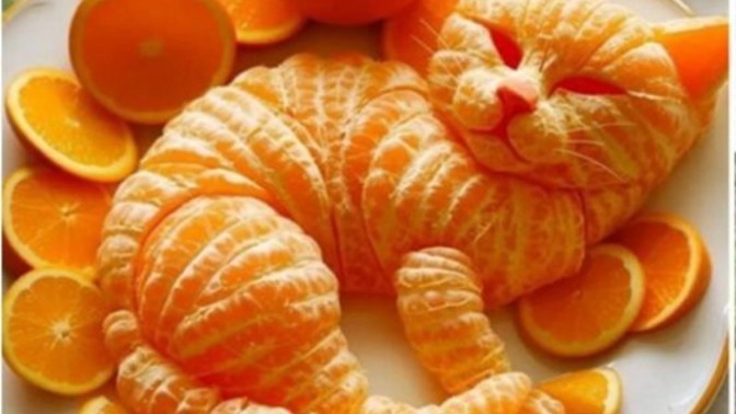 Orange cat or chicken map?