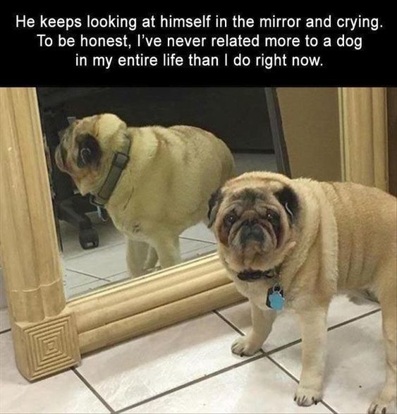 Do you consider yourself cute?