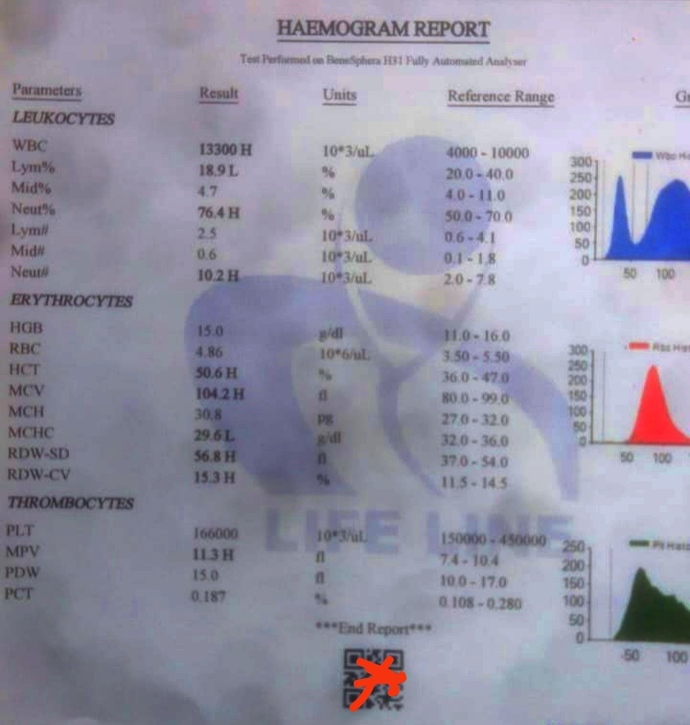 What is the meaning of this report?