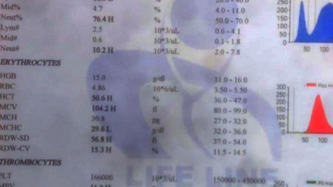 What is the meaning of this report?