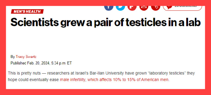 Scientists grew a pair of testicles in a lab. Do you think this could help Joe Biden stop letting these commie dictators walk all over us?