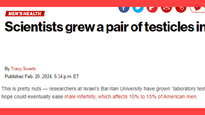 Scientists grew a pair of testicles in a lab. Do you think this could help Joe Biden stop letting these commie dictators walk all over us?