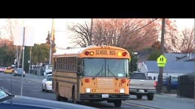 What do you think of people who run school bus stop signs?