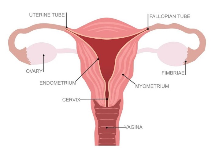 Are trophies shaped like wombs to remind guys that we are the prize?