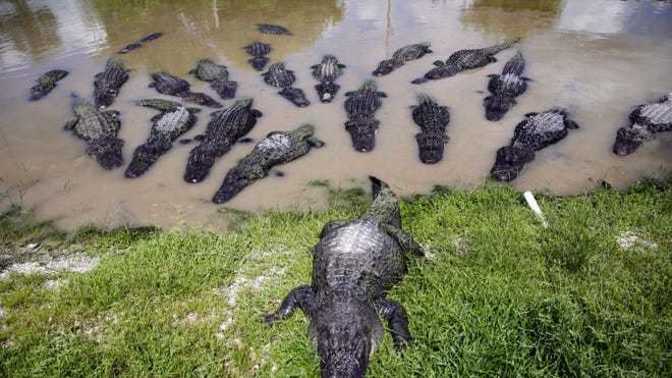 What would you do if you were in this situation?