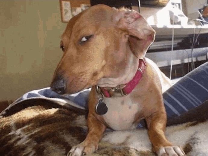 Whats a word in your language that sounds beautiful but the meaning isnt?