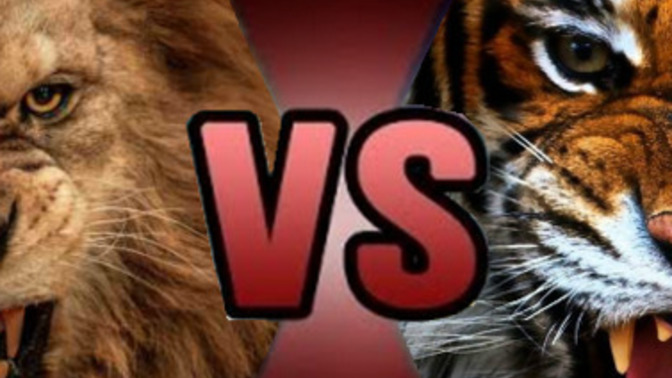 Who would win, Lion or Tiger?