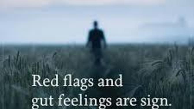 Explain Red Flag and Gut Feelings Experiences Sometime in your life?