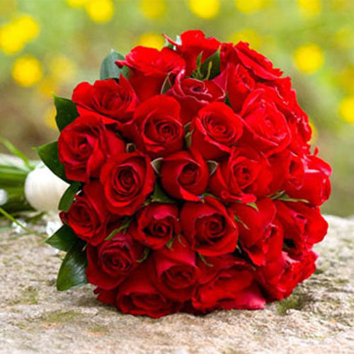 What did you get for Valentines day?