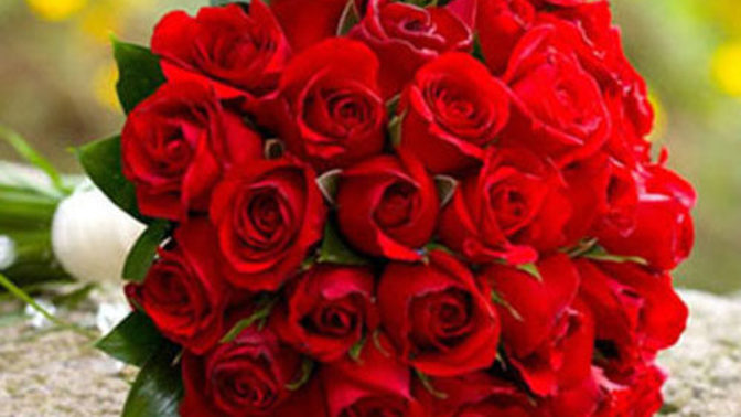 What did you get for Valentine's day?