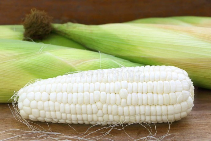 Which tastes better, popcorn, or corn?