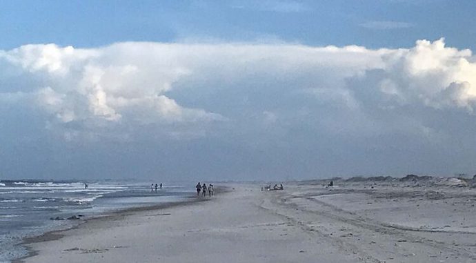 Little Talbot Island State Park