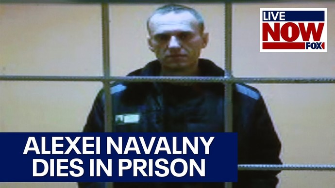 Was the way Alexey Anatolyevich Navalny was treated significantly different then how Australian Julian Assange is being treated?