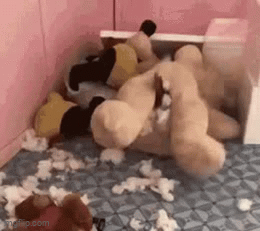 What is this cat doing to this poor teddy?