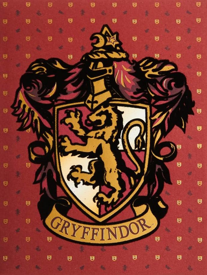 Whats your Hogwarts house?