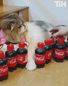 Coca~Cola