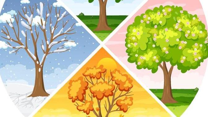 What is your favourite Season?