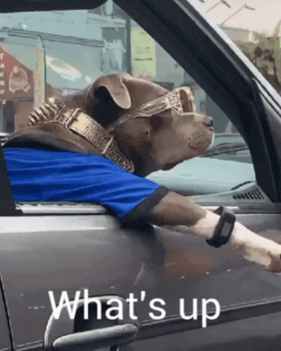 What do guys expect girls to reply to "sup"?