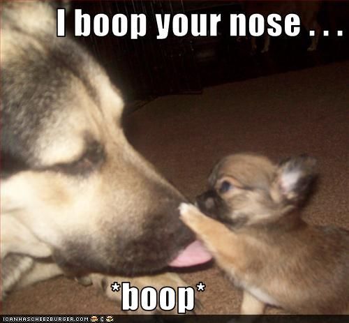 Are you excited about extra boop day?