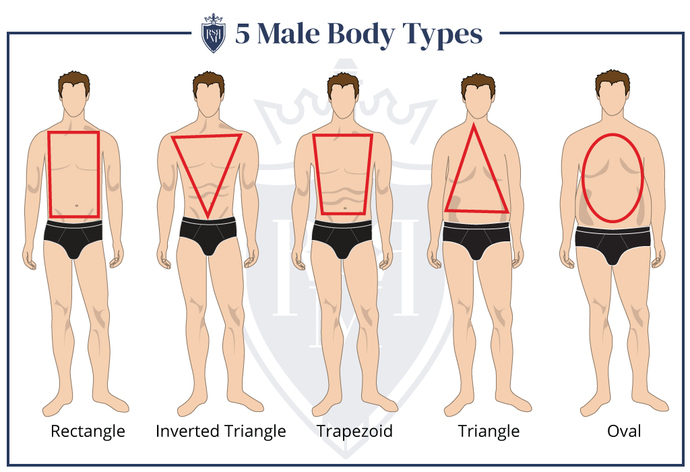 Girls, What’s your ideal body type for a man?