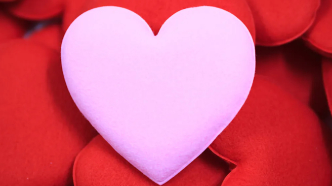 Love Doctor Brad Out Of All The Lovely Ladies On This Website Who Would You Suggest My Future Girlfriend Be?