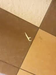 What's an item you find yourself constantly dropping on the floor?