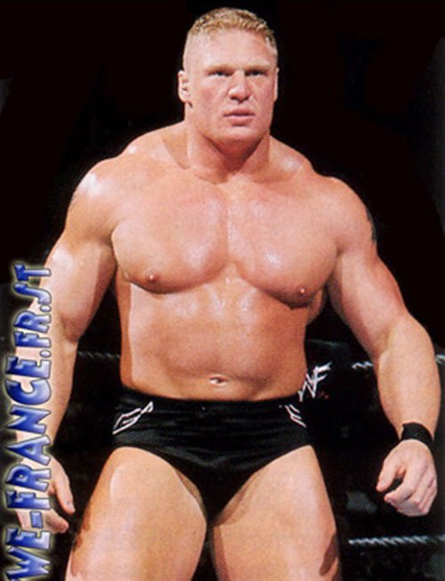 What is Brock Lesnar’s body type (mesomorph, ectomorph, endomorph)?