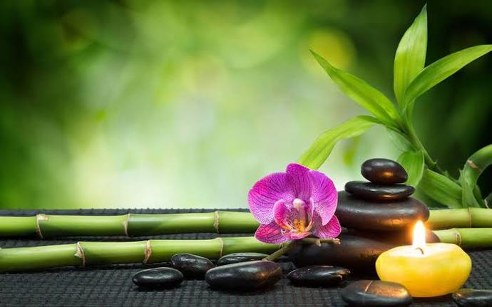 What do you consider therapeutic in your life?