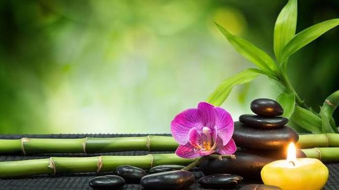 What do you consider 'therapeutic' in your life?
