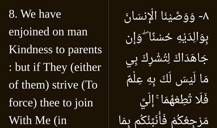 Muslims, how do you view your offspring?