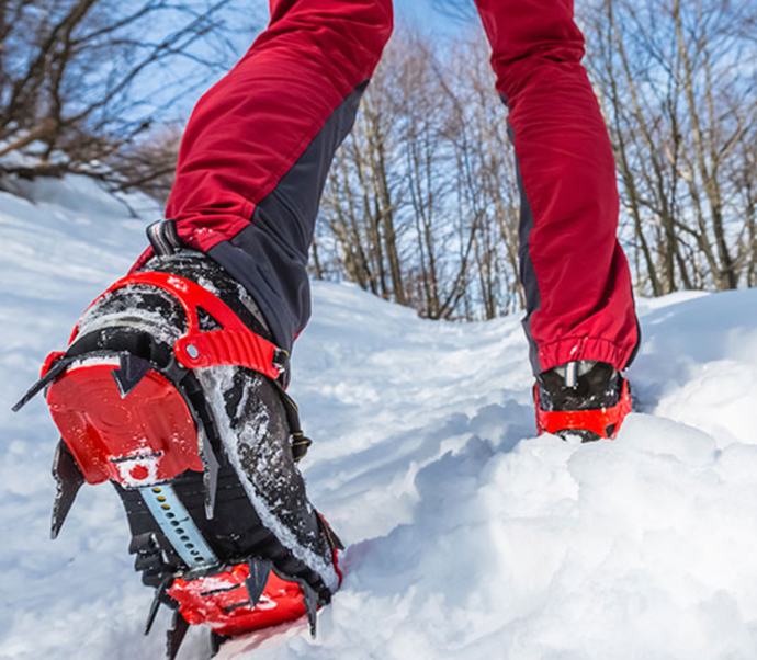 If You Are Going To Tiptoe Through The Tulips Would You Wear Bowling Shoes, Tennis Shoes, Snow Shoes, Sandals Or Clowns Shoes?