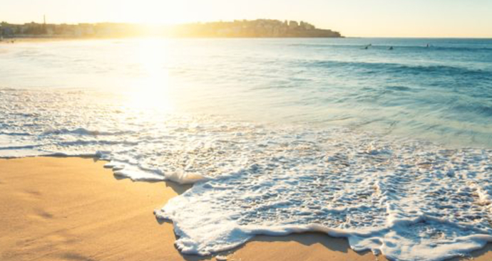 Do you love sunny days?