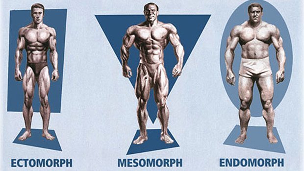 What type of physique does Prime Mike Tyson have? Is there a name for his type of physique?