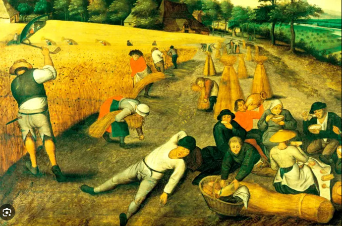 If you were living in medieval times, which of these jobs do you think you would be best suited for?
