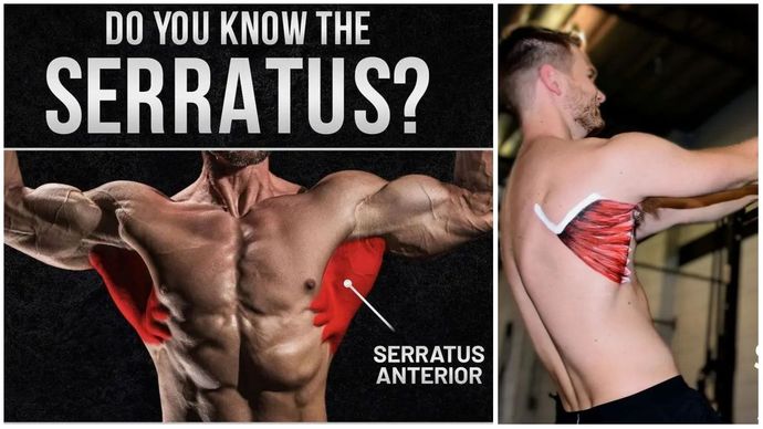 Do you like to see ribcages on a body?