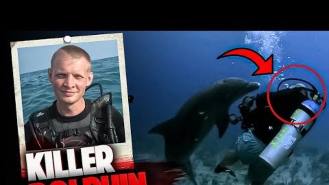 If even the most friendly and peaceful animal kills an abusive, did he had it coming?