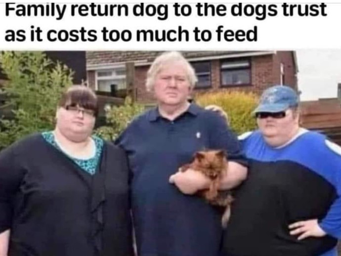 How much human food does your pet get?