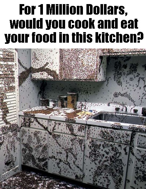 Would you eat out of here for 1 million?