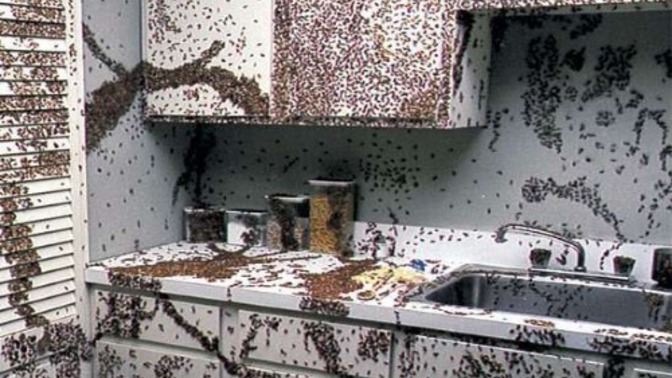 Would you eat out of here for 1 million?