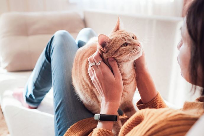 Do you meow back to cat 😺?