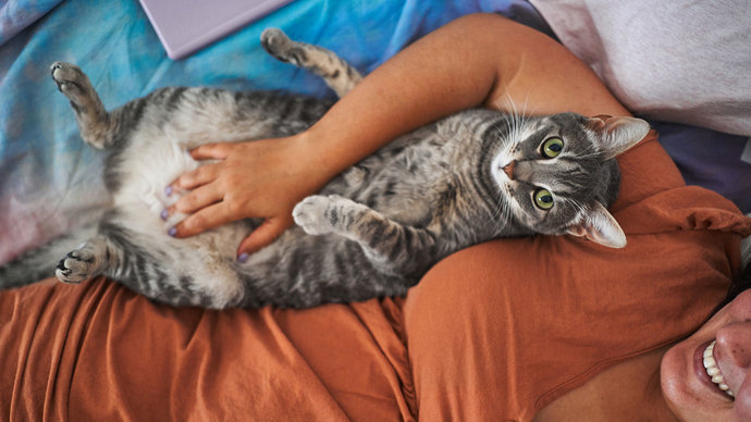 Do you meow back to cat 😺?
