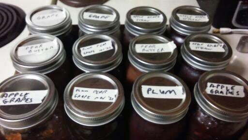 Did anyone ever tried to make a fruit jam at home. I mostly love to make them at home?