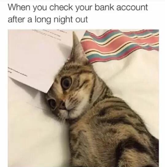 Have you ever looked at your bank account statements and reminisced over some of the payments you made?