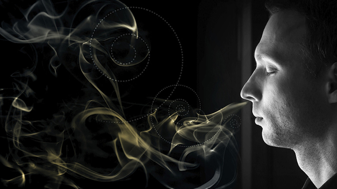 Why do people's houses have their own unique smell?
