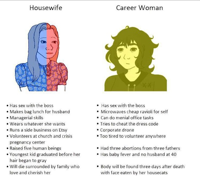 Ladies. Are men wrong in thinking that women in this day and age can still be housewives?