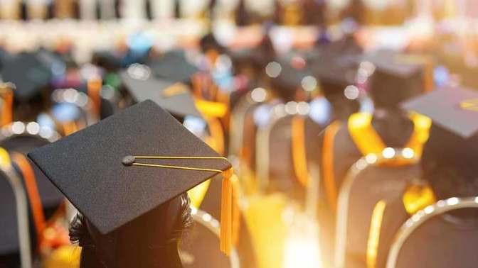 If you had (or wanted) to go back to school, what would you study?