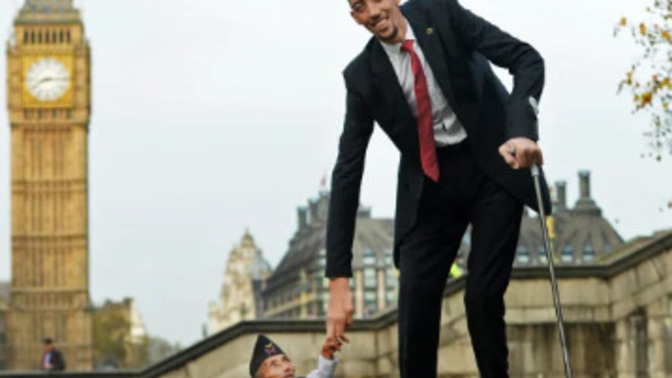 How tall are you?