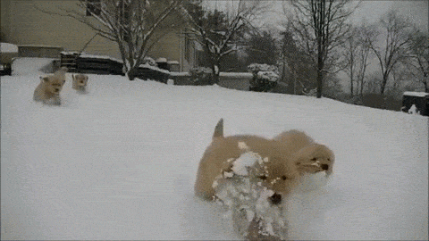 Do you feel like you are loved?